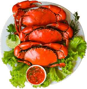 Fresh Crab Plate
