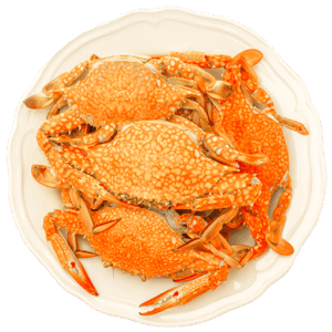 Steamed Crabs Dish